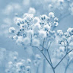 Meet your Posher, Lilly